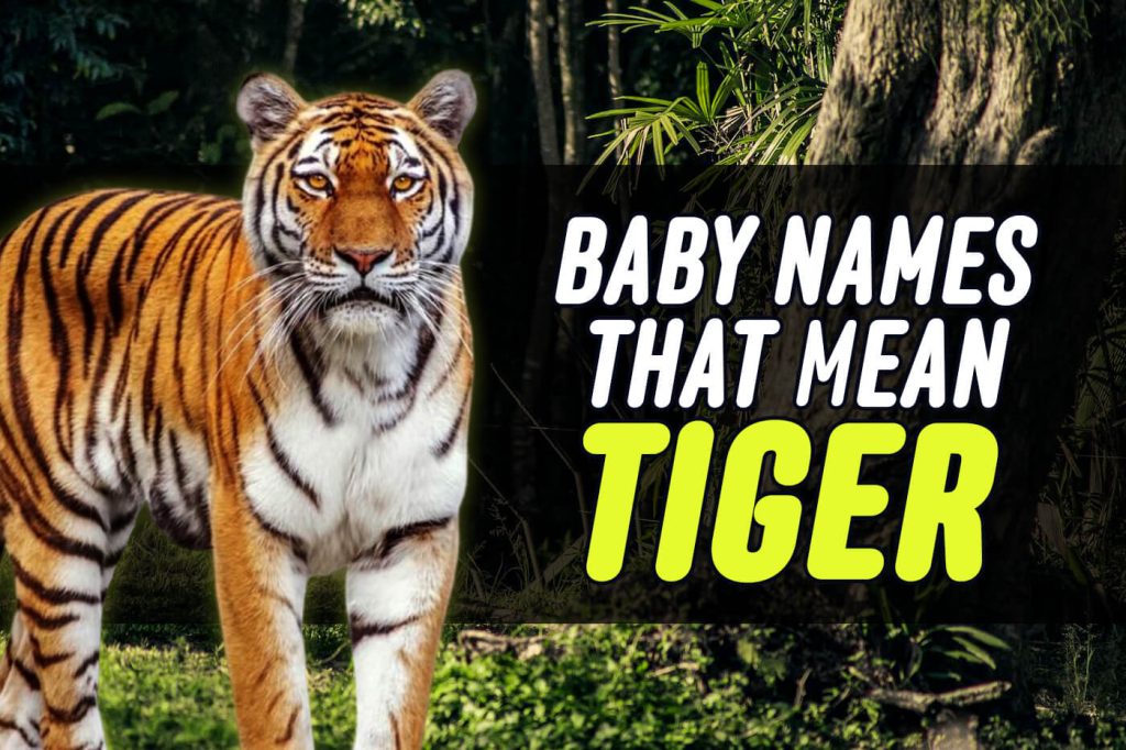 baby names that mean tiger