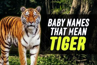 baby names that mean tiger