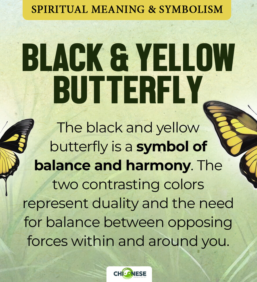 black and yellow butterfly meaning