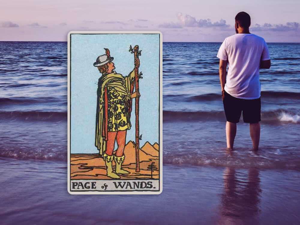 page of wands as a person