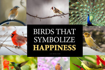 birds that symbolize happiness
