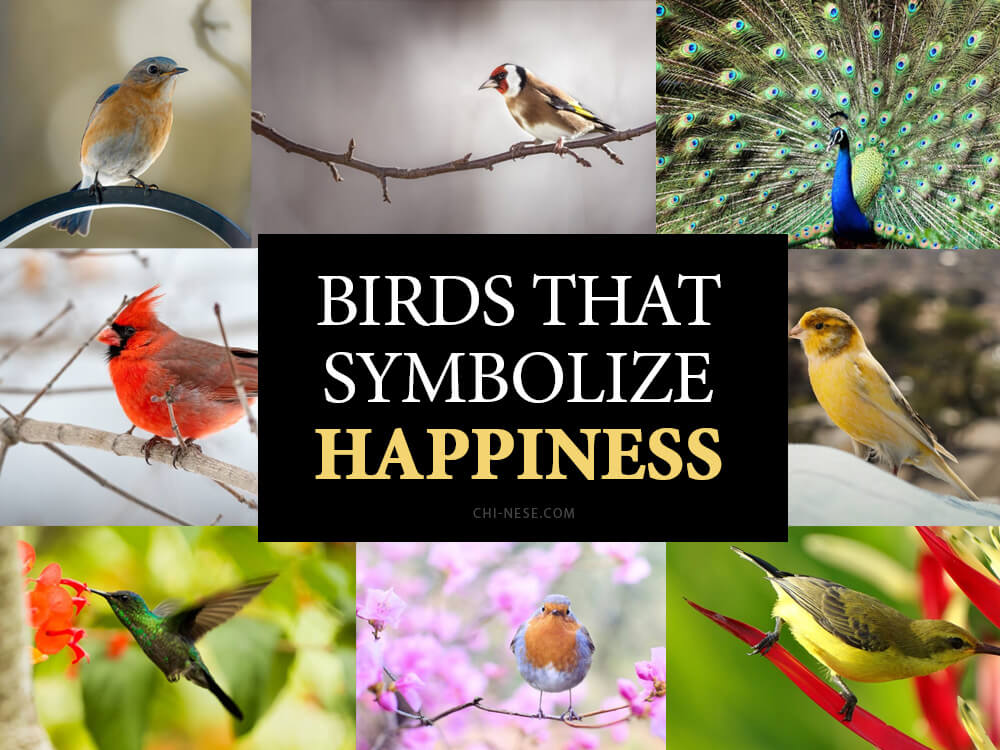 birds that symbolize happiness