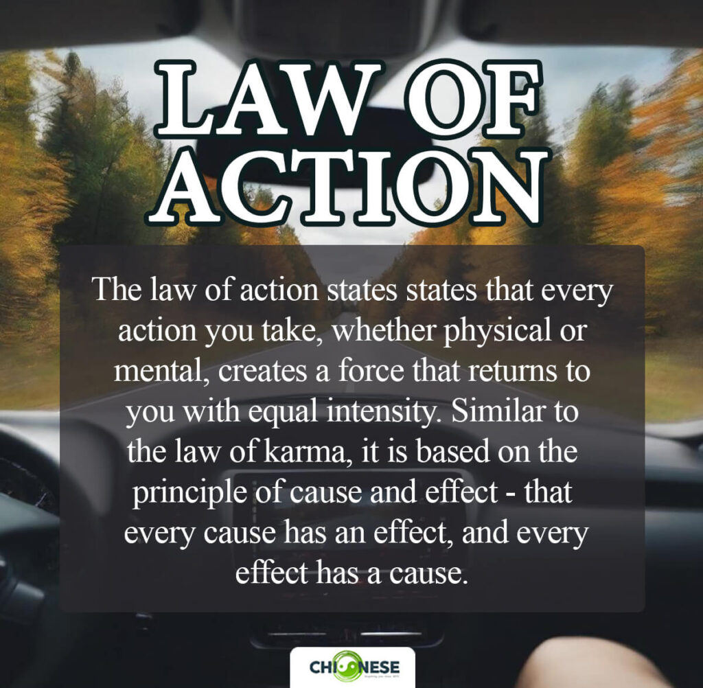 law of action
