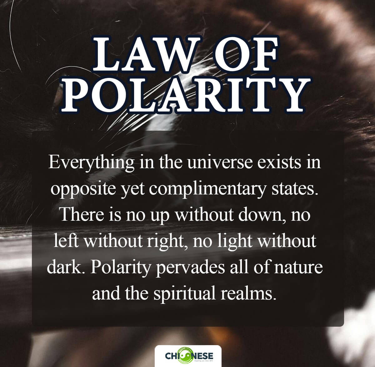 law of polarity
