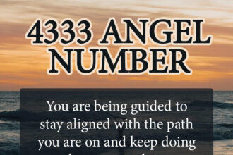 4333 angel number