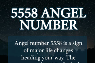 5558 angel number