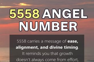 5558 angel number