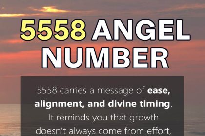 5558 angel number