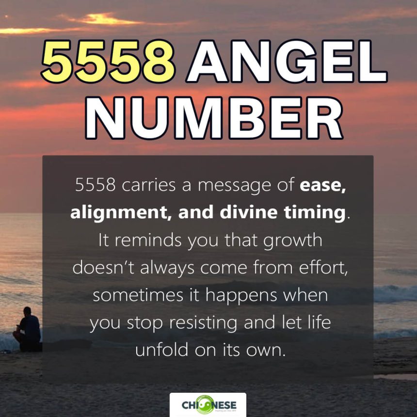 5558 angel number
