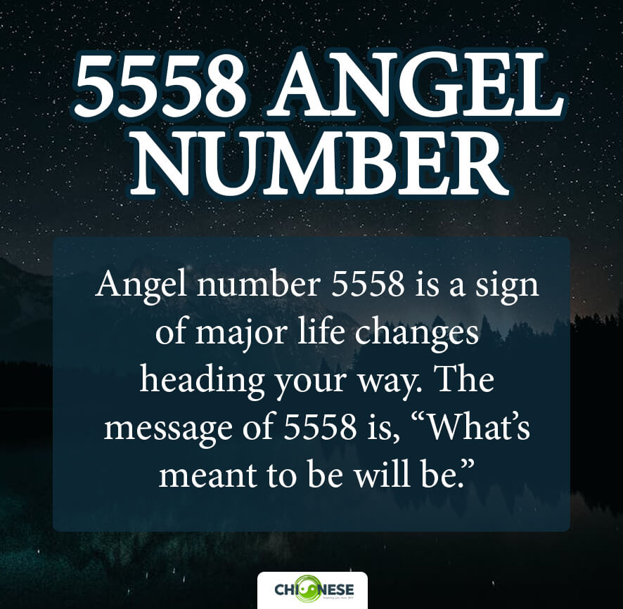 5558 angel number