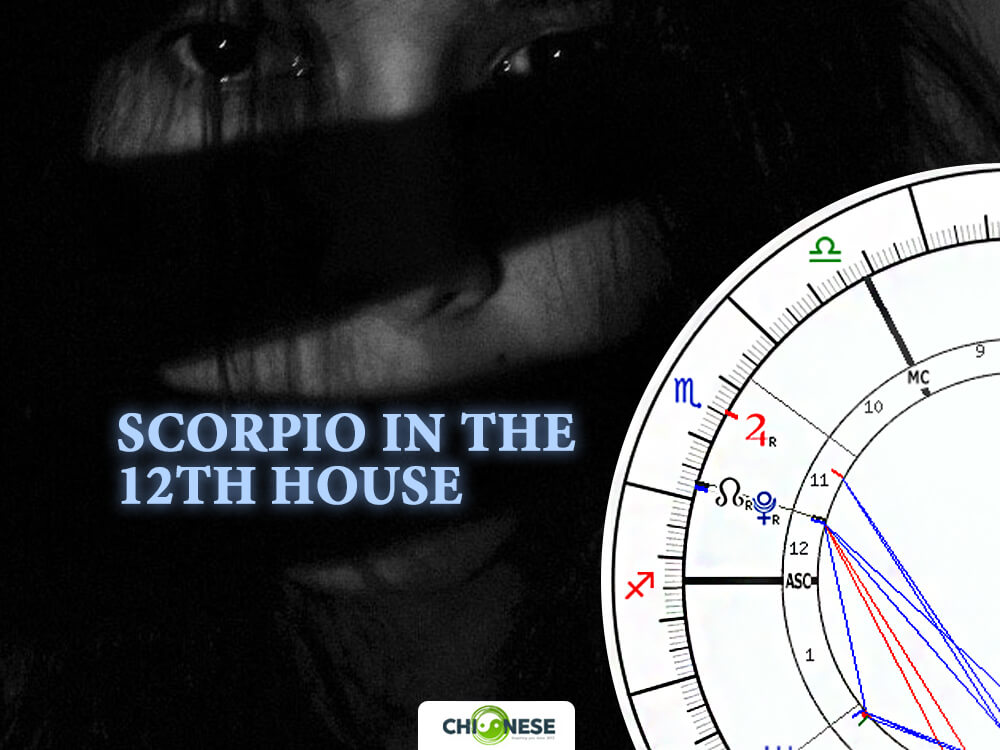 scorpio in 12th house