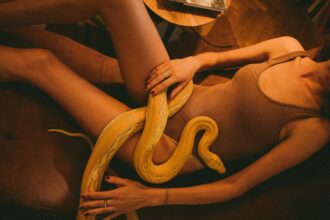twin flame snakes