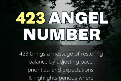423 angel number