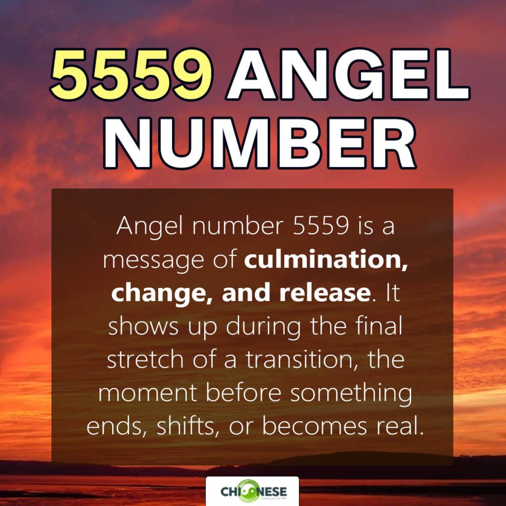 5559 angel number