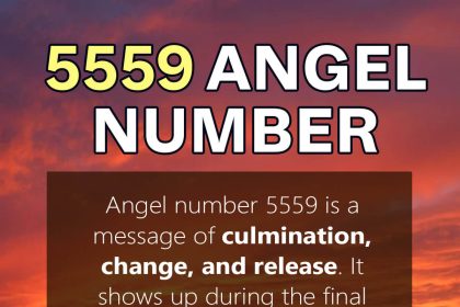 5559 angel number