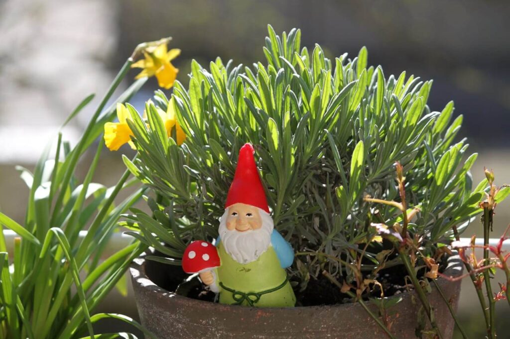are gnomes witchcraft