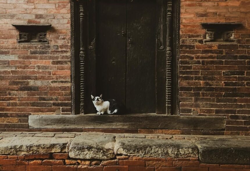 cat poop on doorstep spiritual meaning