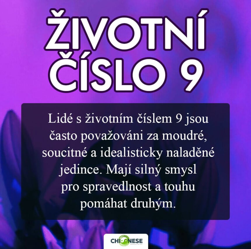 životní číslo 9