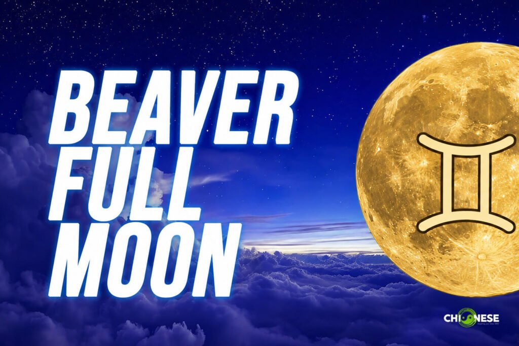 beaver full moon