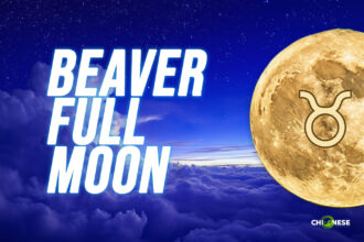 beaver full moon