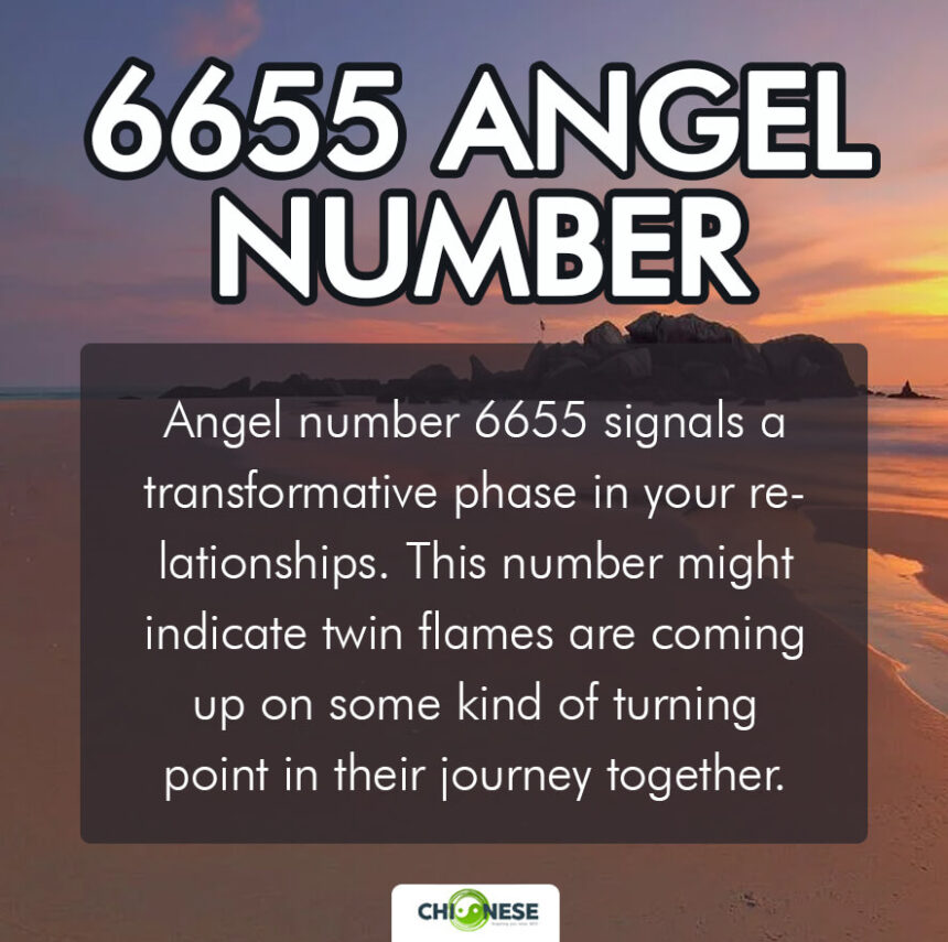 6655 angel number twin flame