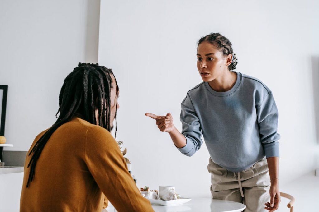 twin flame arguments