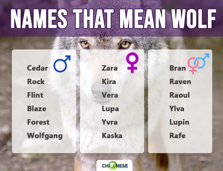 40 Wolf Names For Boys And Girls Strong Wild And Timeless 40 Wolf Names For Boys And Girls Strong Wild And Timeless