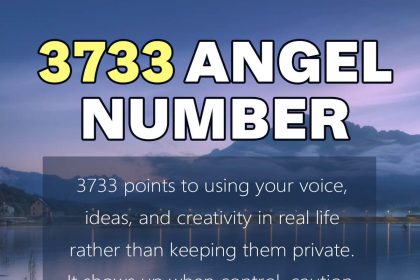 3733 angel number