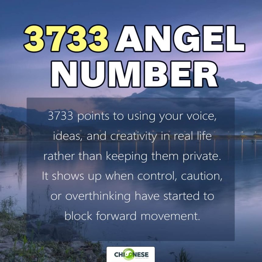 3733 angel number