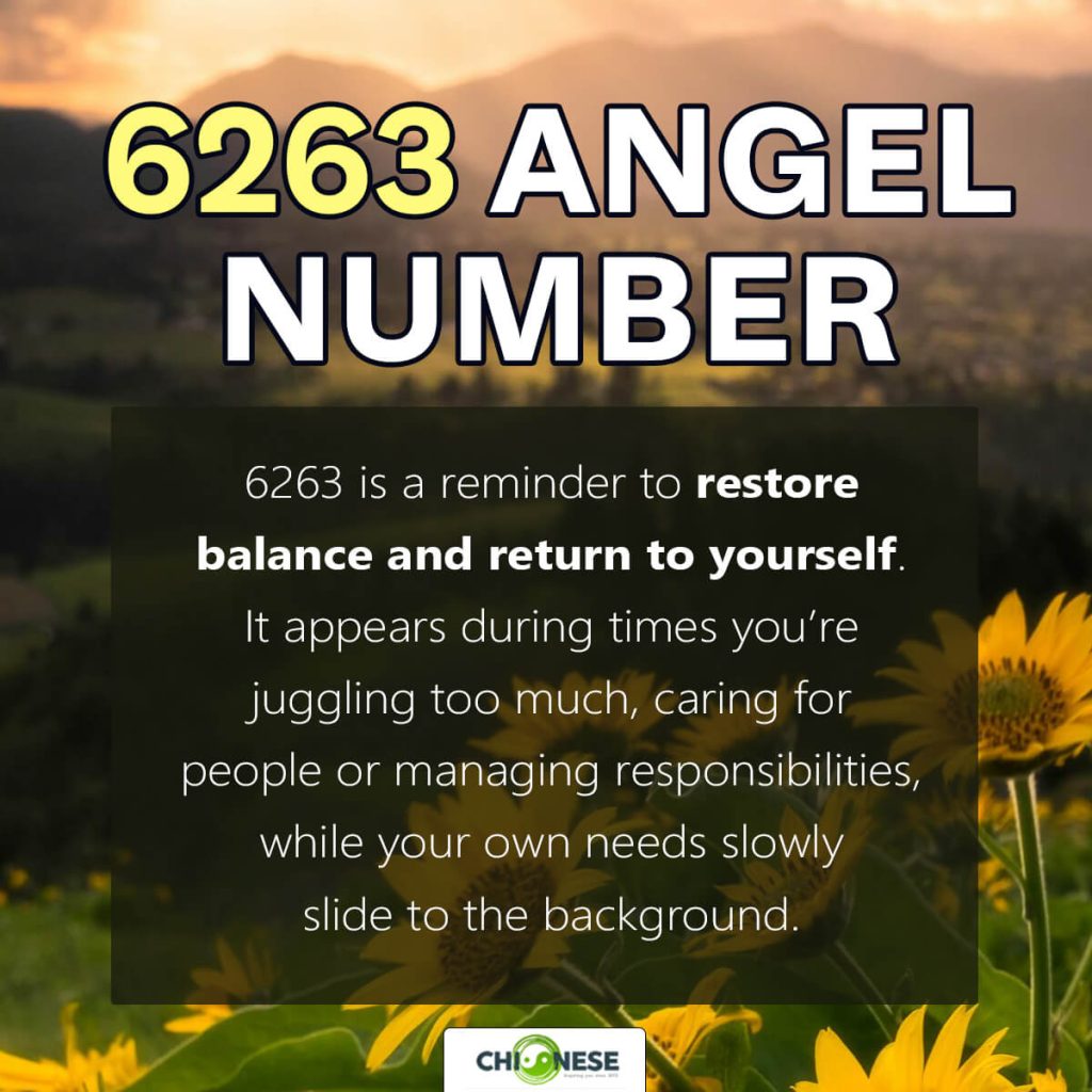 6263 angel number