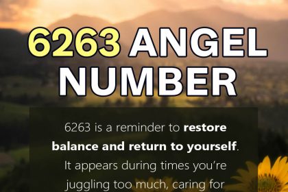 6263 angel number