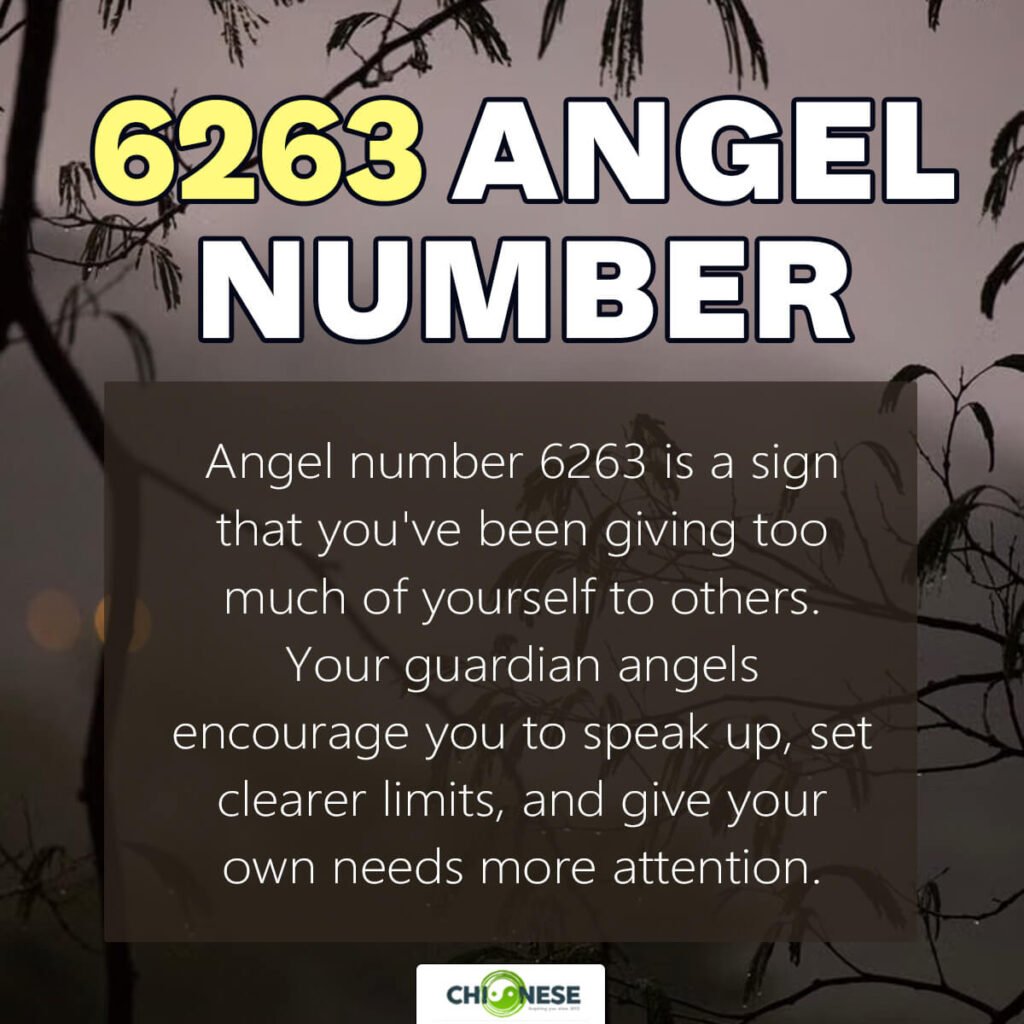 6263 angel number