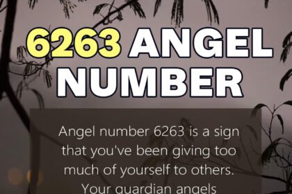 6263 angel number
