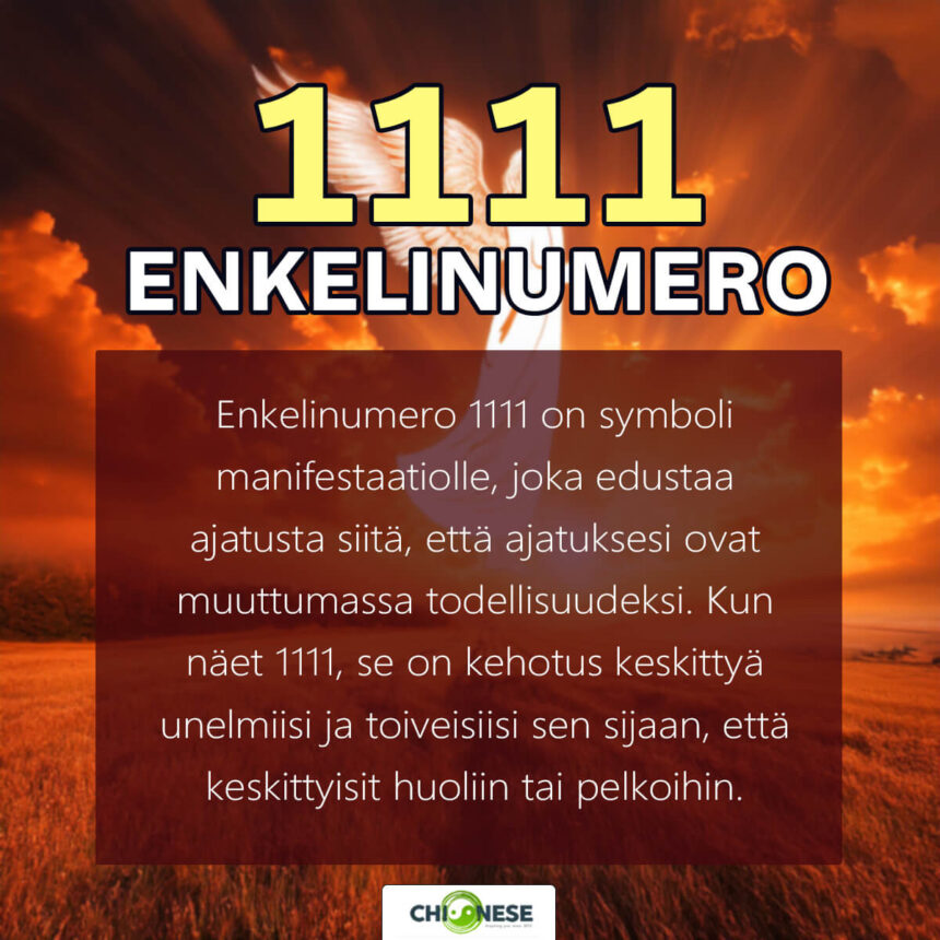 enkelinumero 1111