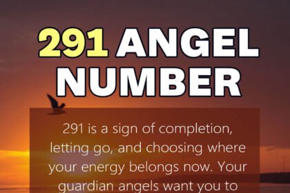 291 angel number