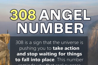 308 angel number