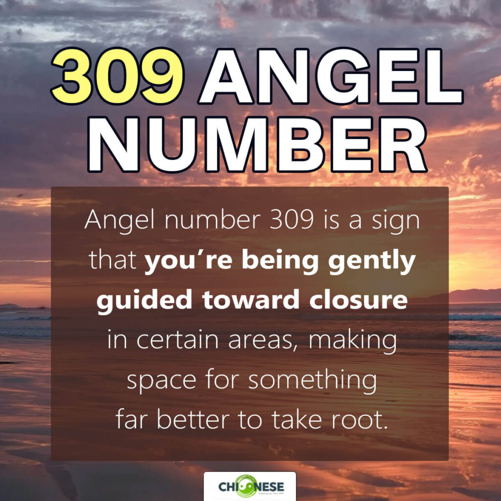 309 angel number
