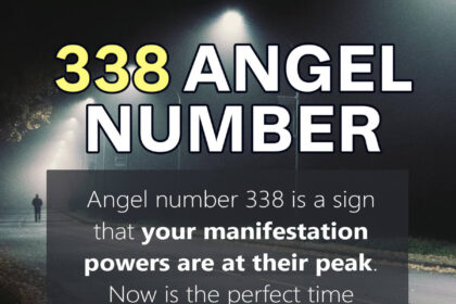338 angel number