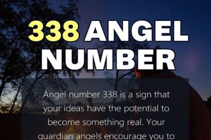 338 angel number