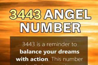 3443 angel number