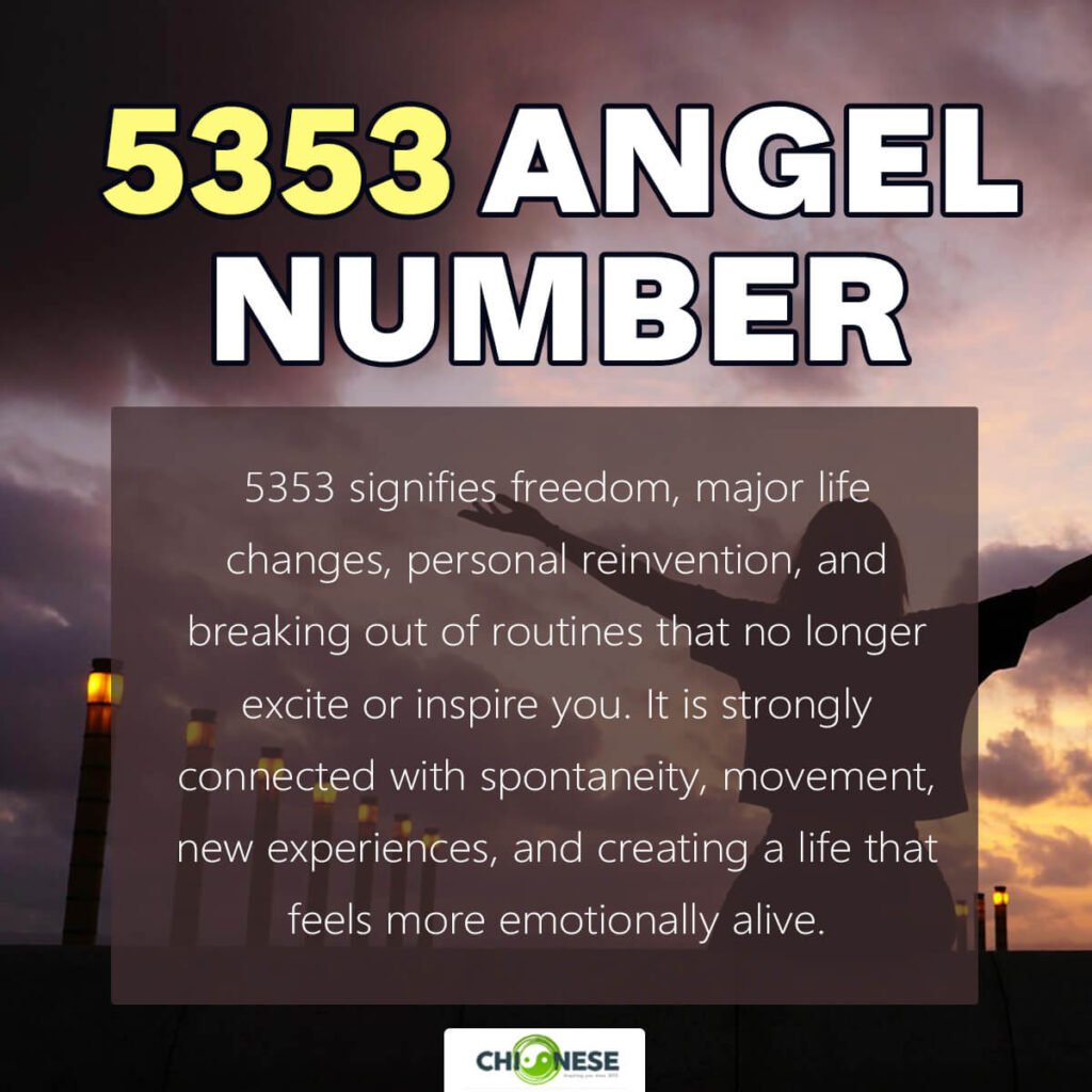 5353 angel number