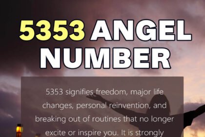 5353 angel number