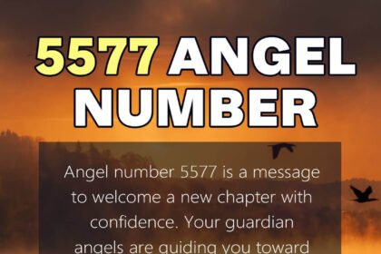 5577 angel number