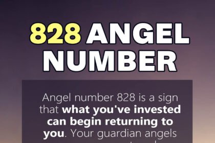 828 angel number