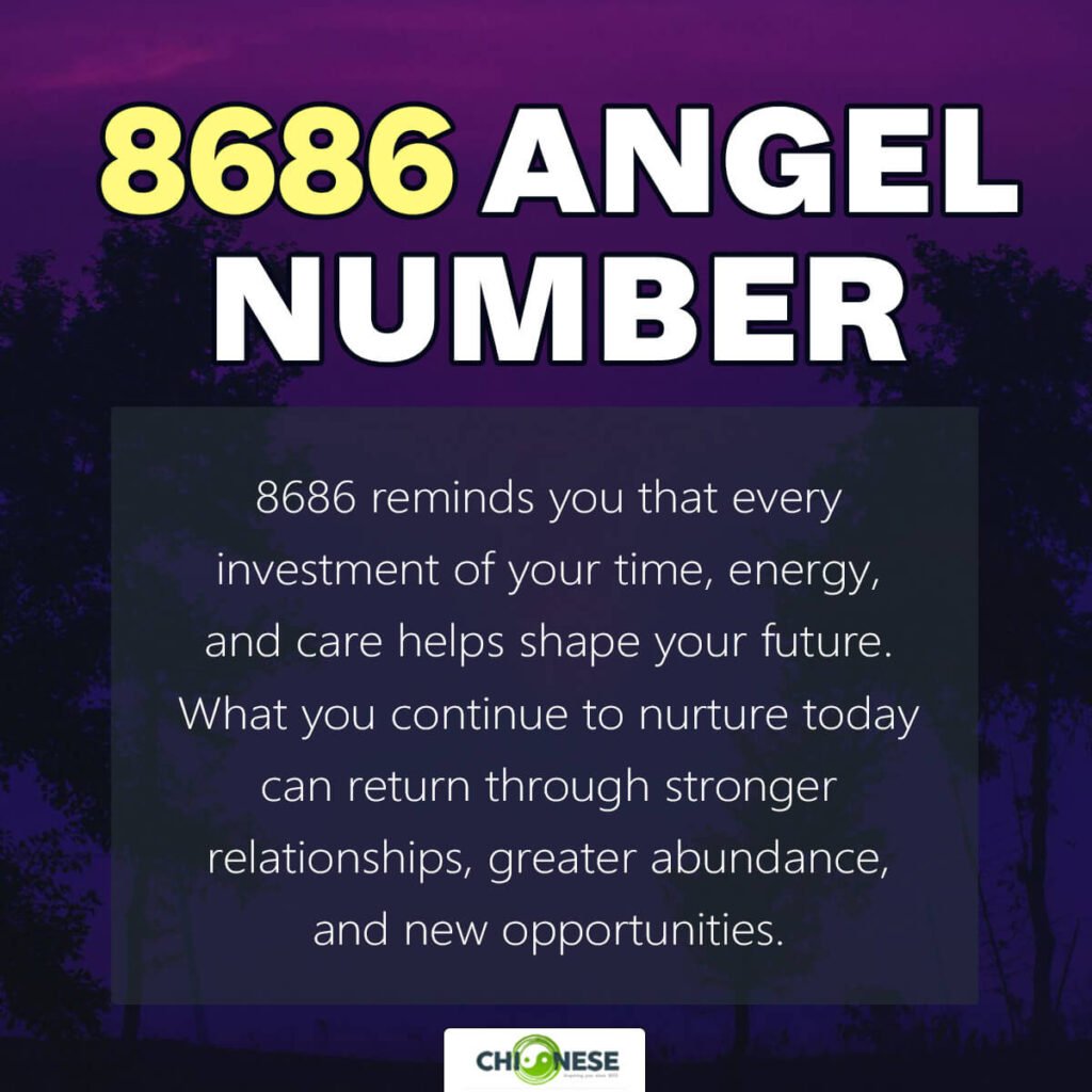 8686 angel number
