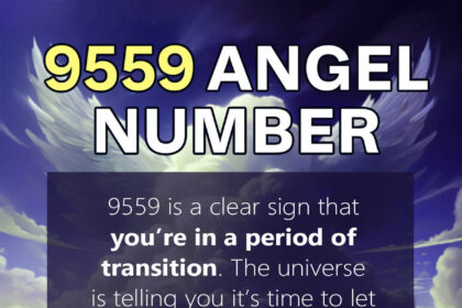 9559 angel number