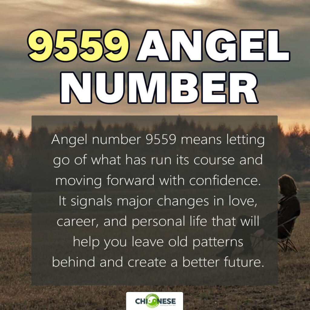 9559 angel number meaning
