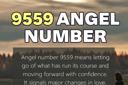 9559 angel number meaning
