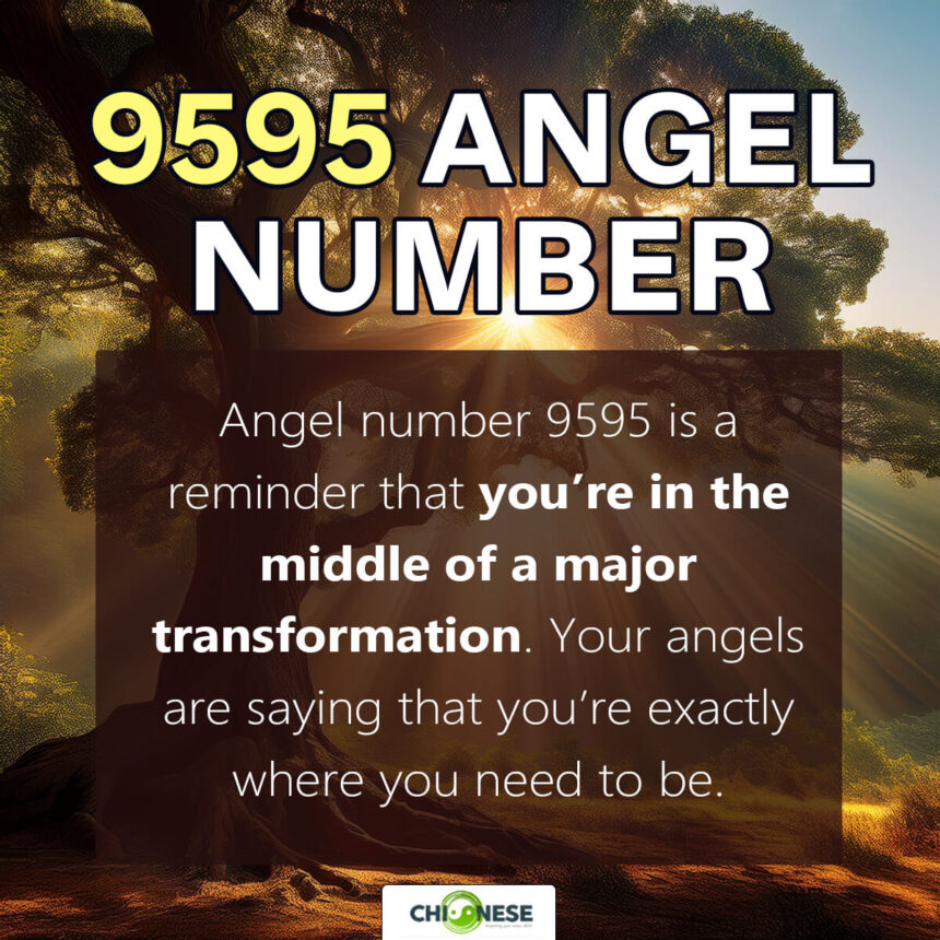 9595 angel number
