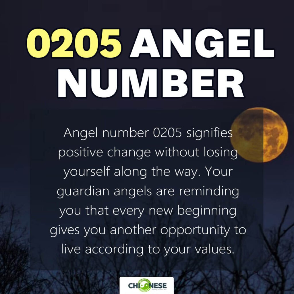 0205 angel number